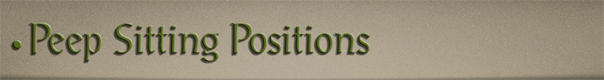 Sub-Header Text Image for FlightToAtlantis.net: How To's: The Ultimate CTR Creator: Peep Sitting Positions